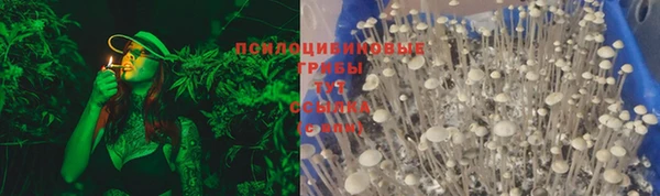 mdpv Осинники