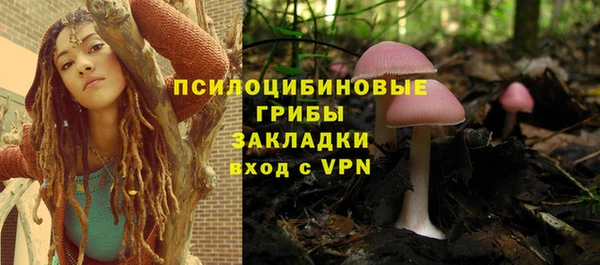 молекула духа Остров